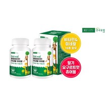 건국유업 쑥쑥 키즈업 종합비타민 미네랄 츄어블 180g, 2개, 120정