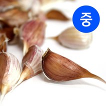 송이네농장 토종 의성 햇마늘 쪽마늘 (중소품) 김장마늘 원품을 쪽내었어요~, 쪽낸마늘 (중소품) 1kg