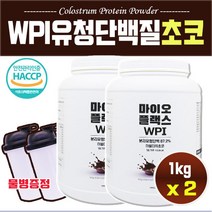 haccp 인증 분리 농축 유청 단백질 쉐이크 프로틴 초코볼 벌크업 보충제 대용량 살찌는 wpi wpc 1kg, 2병, 단백질보충제(초코맛)