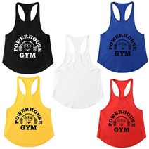 피지크히어로 파워하우스 전면로고 헬스 나시티