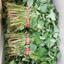 맛있는 농장 호박고구마 모종 5kg, 5월 10일 도착