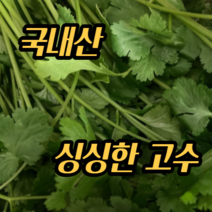 싱싱한 국내산 고수 1kg 뿌리포함 향신료
