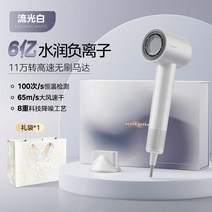 가정용 고속 헤어 드라이기 음이온 속건성 저소음 고출력, 화이트