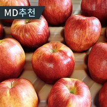 [당일수확발송] 부사 홍로 빨간사과 고당도 가정용 꿀 사과, 1개, 4.5kg 중소과(20-22과)
