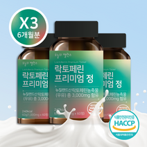 오늘의밸런스 락토페린 3000mg 고함량 초유 유산균 60정 6개월분, 60정 X 3개 6개월분