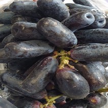 가람상점 씨없는 포도 크림슨 적포도 애플청포도 블랙사파이어 1kg 2kg 3kg 4kg 8kg, 1개, 블랙사파이어 4kg