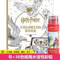 해리포터 영어 버전 컬러링북 색칠하기 책 색연필 세트 성인 취미 드로잉 색칠북, 해리포터 컬러링북+36색 원형 케이스 색연필