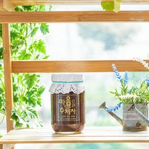 소리가 있는 동네 수제청 과일청 수제과일청 꿀 대추생강청 대추고 대추차 전통차, 500g