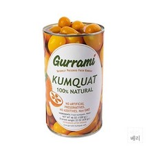 Gurrami Preserved kumquats 구라미 금귤 과일 통조림 1.3kg, 2.87 Pound (Pack of 1)
