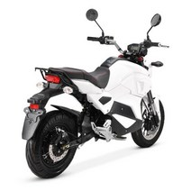 2022 신제품 EEC 오프로드 전기 오토바이 스포츠카 성인용 할리, White, White