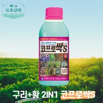 양파 배추 노균병 잎마름병 구리염 화상병 더뎅이병 점 세균모 겹둥근 갈색 무늬병 궤양병