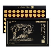 충북인삼농협 왕실영묘향 홍삼침향단 3.75g x 60환, 단품, 단품