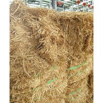 한우축사 연맥짚 버뮤다짚 지푸라기 건초 양계장 닭장 바닥 지푸라기 깔짚대용 20kg, 20kg(압축)