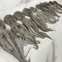 [태안/신진도] 활 주꾸미 1kg(10-15미내외), 1개