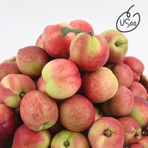 신비복숭아 1kg 실중량 백도 천도 신선 오월도 대극천 하우스 백도 황도 복숭아, 04. [정품] 대극천 복숭아 800g(7-8과내외), 1개