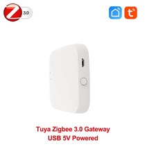 Zigbee 스마트 라이프 인체 감지 Tuya MmWave 레이더 Pir 모션 센서 거리 휘도 내장 차단기, 03 Only Zigbee gateway