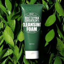 더마팩토리 EDLP 어성초 24% 클렌징폼 120g