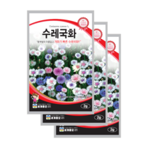 수레국화 씨앗 2g 3봉 센토레아 콘플라워 종자 cornflower knapweed seed, 8개