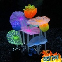 어항 치어 열대어은신처 장식품 구피 새끼