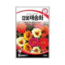 모칸도 (무배)세계 겹꽃채송화 꽃씨 1000립, 01_101.겹꽃채송화