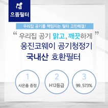 AP-1510BH필터 웅진코웨이공기청정기호환필터, 선택완료, 단품