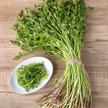 산지직송 당일수확 향긋한 무농약 미나리 1kg 제철