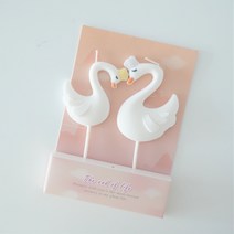 생일초 예쁜 특이한 백조초