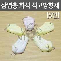 삼엽충 화석 석고방향제(5인), 5인
