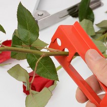 장미 제거기 꽃꽂이 재료 화훼 장식 기능사 실기 식물 잔가지 손 잎 줄기 2개, 가시제거기