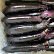 국내산 가지, 가지(특품)1kg, 1개
