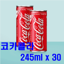 오리지널 코카콜라 업소용 245ml 30캔
