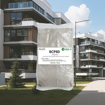 정화조 악취제거 250g 10팩 수질관리 70프로이상 감소, 10개