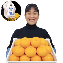 산지직송 제주 스테비아급 고당도 하우스 천혜향, 하우스천혜향 / 5kg / 25~30과내외