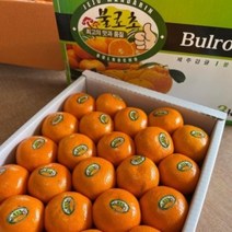 [루디번니] 불로초 감귤 1.5kg/3kg 제주감귤 귤 불로초감귤 제주불로초감귤 제주 불로초 감귤 12.5 브릭스 이상 맛있는 제주 불로초 감귤 불로초 성전감귤, 제주 불로초 성전감귤/3kg/20~50과