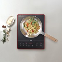 PN 뉴 포터블 인덕션 PPNKA-2000 풍년