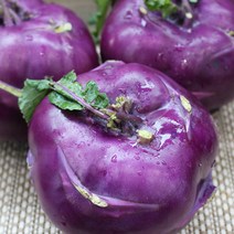 친환경팔도 [팔도농장] 아삭 달콤한 제주 햇 콜라비 3kg, 단품