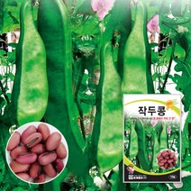 넝쿨 작두콩씨 작두콩종자 씨앗 10립 대포장 500g, 소포장 10립