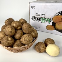 [기린]당일발송 23년 수확 햇감자 수미감자 2kg 3kg 5kg 1BOX, 2kg (중, 미니크기), 1개