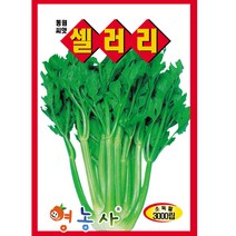 셀러리씨앗 3000립 샐러리 종자, 셀러리, 1개