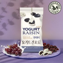 산과들에 원데이 요거트 건포도 20g 50봉, 1개, 1000g