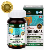 액티브 프로바이오틱스 500mgx60캡슐(2개월) 100억CFU 식물성캡슐 캐나다생산