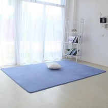 단색 코랄 벨벳 빅사이즈 요가 카페트 거실 욕실 매트, 160cm x 200cm, Cf Navy blue