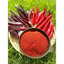 햇 태양초 고춧가루 1kg 청양 고추가루, 청양 1kg