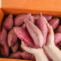 [농부마음] 품질인증 햇 꿀 밤고구마 세척고구마, 5kg(특/상품), 1box