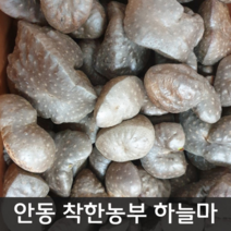 2023 햇하늘마 5키로 중대크기(일주일간 왕창할인), 1개