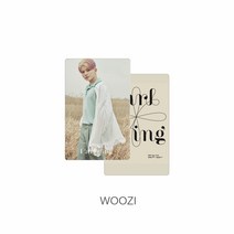 seventeen세븐틴 달링 굿즈 동일 스몰 카드, woozi