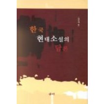 한국 현대소설의 담론, 새미, 정신재