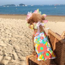 [DOG]하와이화관 강아지 화관 꽃 목걸이 악세사리 고양이, M, (DOG)하와이화관-블루