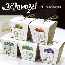 (꿈쟁이) 그린패밀리_잔디화분 5종, 05_파파의 캣잎