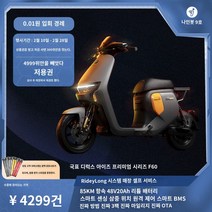 전기자전거 나인봇 9호 전기자전거 먼 여행자 F60 스마트 전기차 9호 전기차 배터리카, 48V, 20AH, 푸젠성/광시성/후난성/산시성/산시성/허베이성/장시성/후